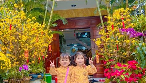 Ngắm đường hoa hơn 8,6 tỷ đồng ở thành phố biển Đà Nẵng