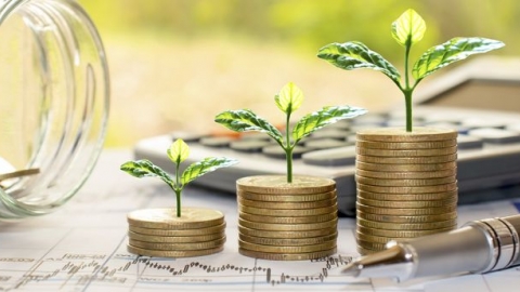 Đẩy mạnh tài chính xanh là xu thế chung của toàn cầu