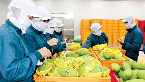 Các nước Liên minh kinh tế Á-Âu xóa bỏ thuế nhập khẩu với 450 mặt hàng