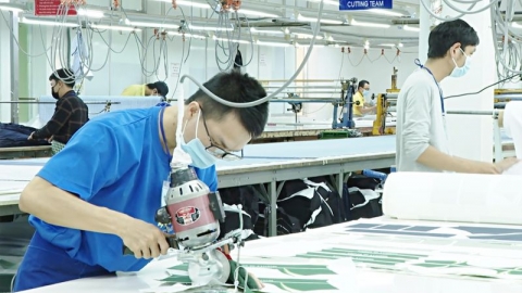 Chú trọng, bổ sung các quy định pháp luật về sở hữu trí tuệ: Nâng cao khả năng cạnh tranh và bảo vệ lợi ích của doanh nghiệp