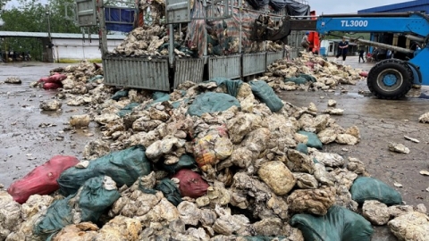 Công an kiểm tra một Công ty cao su ở Thừa Thiên Huế đổ thải ra môi trường