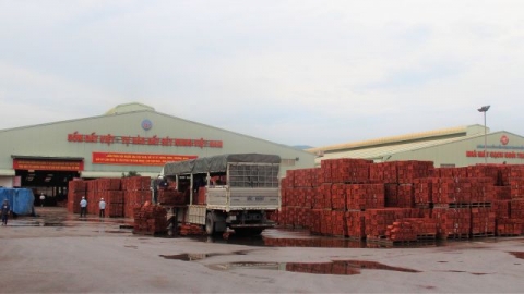 Hành trình hoạt động của Gốm Đất Việt