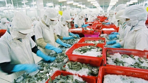 Việt Nam trở thành đối tác thương mại hàng hóa lớn nhất của Liên minh Châu Âu - EU