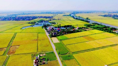Hạn mức nhận chuyển nhượng quyền sử dụng đất nông nghiệp được mở rộng