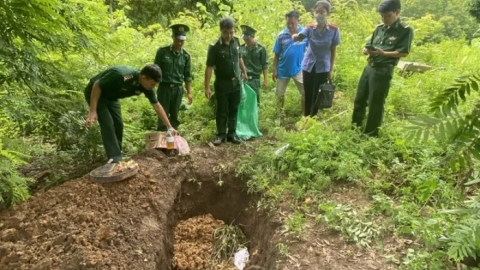 Tiêu hủy gần 70kg nghi là sâm không rõ nguồn gốc
