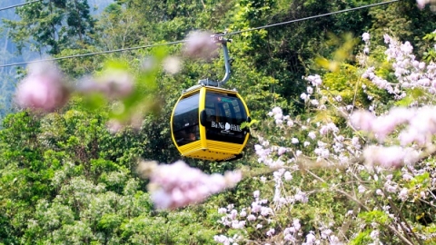 Cha đẻ của Cầu Hôn Phú Quốc hé lộ về hầm vang “có một không hai” sẽ làm ở Bà Nà Hills