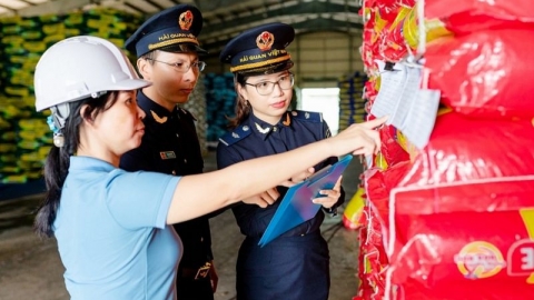 Hướng dẫn kiểm tra điều kiện kiểm tra, giám sát hải quan đối với doanh nghiệp chế xuất