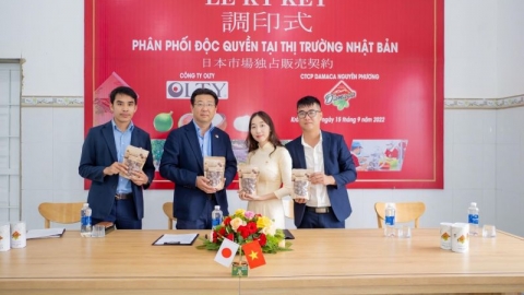 Xuất khẩu container mắc ca chính ngạch đầu tiên sang thị trường Nhật Bản
