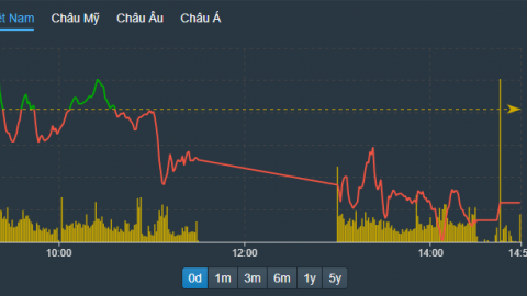 Thị trường chứng khoán “đỏ vỏ, xanh lòng”, VN-Index giảm 8,68 điểm
