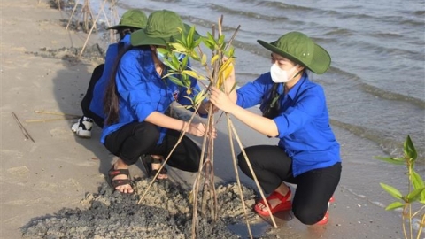 Bộ Công Thương và Kế hoạch hành động ứng phó với biến đổi khí hậu, tăng trưởng xanh