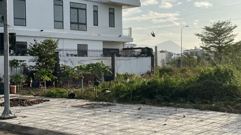Công ty Yến sào Khánh Hòa: Cần kiên quyết xử phạt nạn săn bắt chim yến
