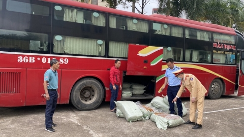 Thu giữ gần 500kg lòng lợn sấy khô ẩm mốc, chảy nước bốc mùi hôi thối