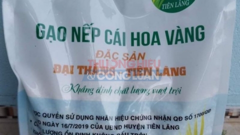 Gạo Nếp cái hoa vàng xã Đại Thắng- sản phẩm OCOP được nhiều người tiêu dùng đón nhận