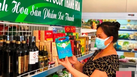 Xây dựng nông thôn mới gắn với phát triển các sản phẩm OCOP