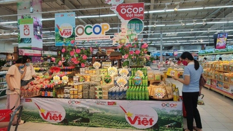 Những sản phẩm nào được phê duyệt kinh phí hỗ trợ bao bì, in tem sản phẩm tham gia Chương trình OCOP?