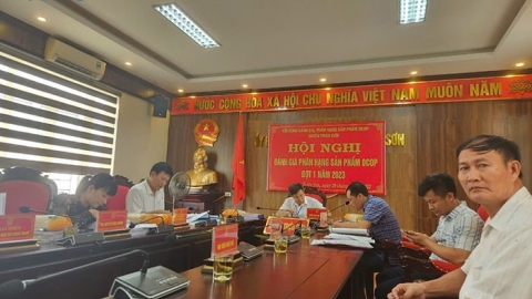 Bộ tiêu chí đánh giá, phân hạng SP OCOP 2021 - 2025: Những điểm mới và khó khăn khi thực hiện