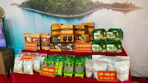 Thanh Hóa phê duyệt 27 chủ thể được hỗ trợ quảng bá thương hiệu sản phẩm OCOP