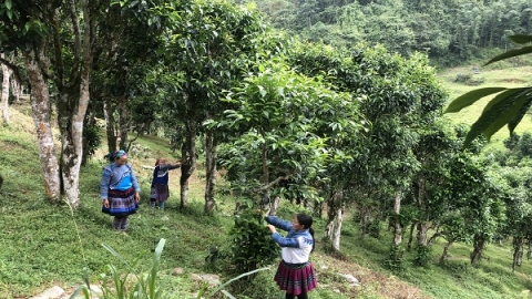 Lào Cai: Đánh giá tính khả thi để xây dựng sản phẩm du lịch vùng đồng bào dân tộc thiểu số và miền núi