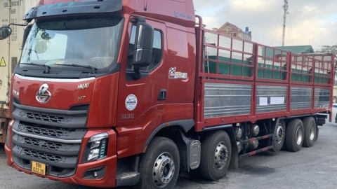 Quảng Ninh phát hiện vụ vận chuyển 450 kg cá tầm nhập lậu