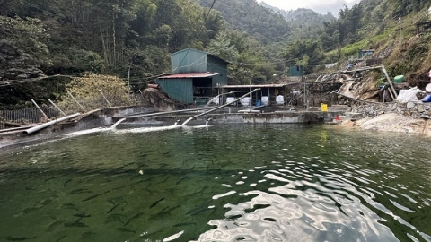 Lào Cai: Tăng cường bảo vệ và phát triển nguồn lợi thủy sản