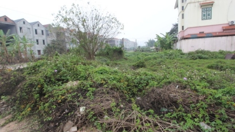 Bắc Ninh công bố hàng loạt dự án nhà ở xã hội, trường học chậm tiến độ, gây lãng phí tài nguyên