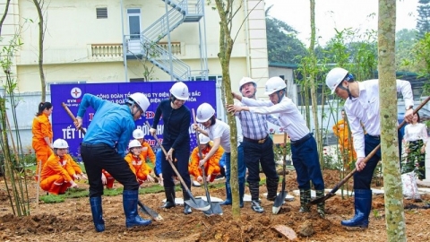 PC Thanh Hóa phát động Tết trồng cây Xuân Giáp Thìn 2024