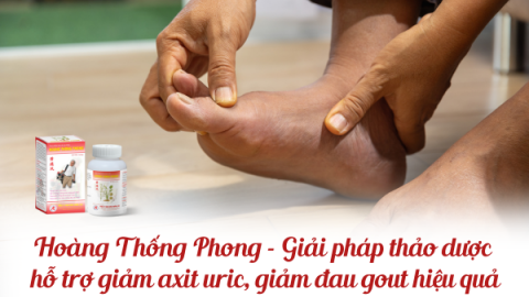 Hoàng Thống Phong - Giải pháp thảo dược hỗ trợ giảm axit uric, giảm đau gout hiệu quả