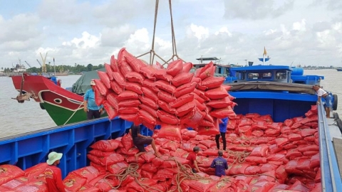 Thị trường xuất khẩu gạo Việt Nam đạt trên 2,18 triệu tấn trong Qúy I
