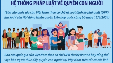 Việt Nam nỗ lực rất lớn trong hoàn thiện hệ thống pháp luật về quyền con người