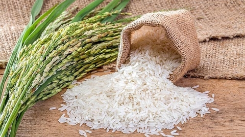 Giá lúa gạo hôm nay 3/5: Giá gạo xuất khẩu bật tăng trở lại