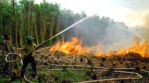 Hậu Giang nâng cảnh báo nguy cơ cháy rừng lên cấp cực kỳ nguy hiểm
