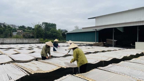 Quảng Ninh khuyến khích đầu tư, liên kết sản xuất, chế biến, tiêu thụ nông sản