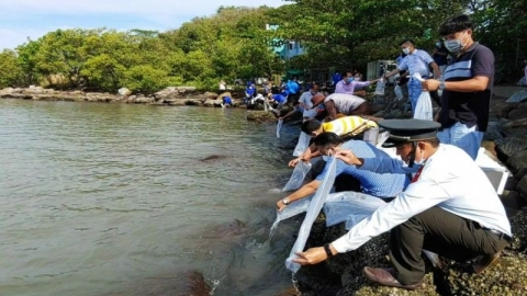 Cà Mau tăng cường quản lý, bảo vệ nguồn lợi thủy sản