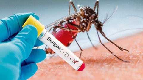 Ghi nhận trên 400 trường hợp mắc sốt xuất huyết Dengue tại Đắk Lắk