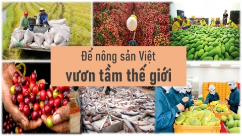 Vì sao, nông sản Việt đang là mặt hàng Trung Quốc có nhu cầu tiêu thụ nhiều nhất