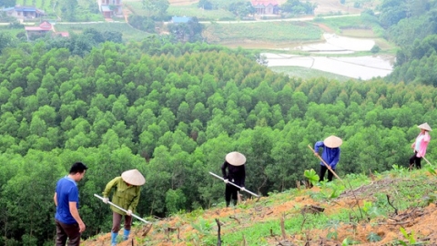 Hoà Bình: Nhiều dự án sử dụng vốn ngân sách đã thi công nhưng chưa hoàn thiện thủ tục chuyển mục đích sử dụng rừng