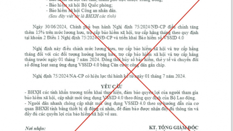 Cảnh giác giả mạo văn bản của BHXH Việt Nam về cập nhật VssID 4.0