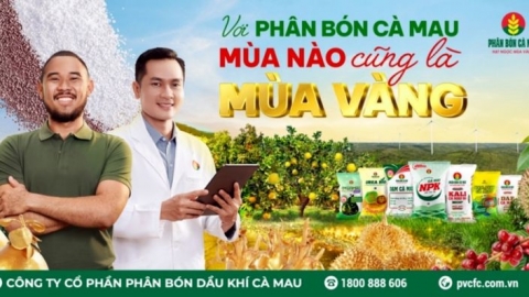 PVCFC: Đồng hành cùng những "mùa vàng" của bà con nông dân