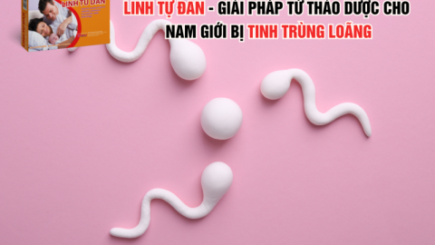 Linh Tự Đan - Giải pháp từ thảo dược cho nam giới bị tinh trùng loãng