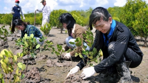 ADB làm sâu sắc hơn trọng tâm chiến lược, tăng cường hỗ trợ các vấn đề ưu tiên