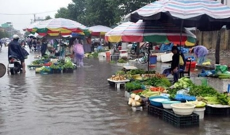 Tăng cường công tác bảo đảm ATTP, phòng chống ngộ độc thực phẩm trong mùa Hè và mùa bão, lụt năm 2024