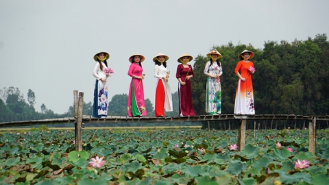 Đồng Tháp triển khai mô hình du lịch trải nghiệm sinh thái nông nghiệp gắn bảo tồn di sản văn hóa