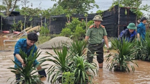 Hưng Yên phát lệnh báo động III trên tuyến đê tả sông Hồng