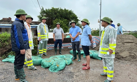 Nam Định: Tập trung ứng phó khẩn cấp tuyến đê Bối thuộc xóm Gò, xã Hải Minh