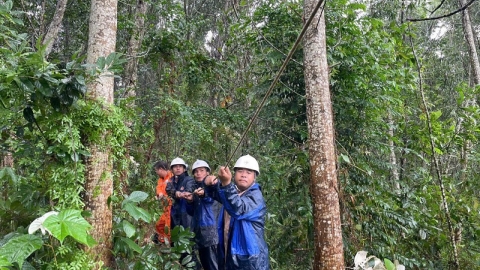 Cập nhật thông tin về ảnh hưởng của bão số 3 đến vận hành và cấp điện tính đến sáng 12/9