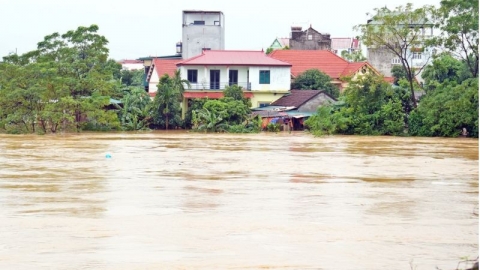 Vĩnh Phúc: Rút báo động III trên sông Phó Đáy