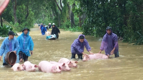 Công văn khẩn của Bộ Y tế về phòng chống dịch bệnh, vệ sinh môi trường trong và sau mưa lũ