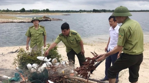 Hà Tĩnh: Ngăn chặn săn bắt chim di cư mùa mưa bão