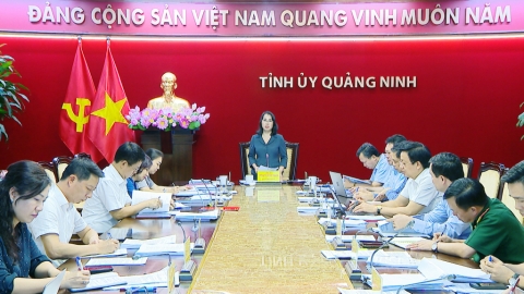 Quảng Ninh: Kịp thời ban hành cơ chế, chính sách hỗ trợ người dân, doanh nghiệp bị thiệt hại do bão số 3