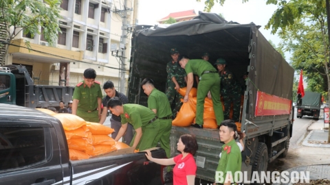 Lạng Sơn: Hội CTĐ tỉnh tiếp nhận 10 tấn gạo hỗ trợ người dân vùng bão lũ gặp khó khăn